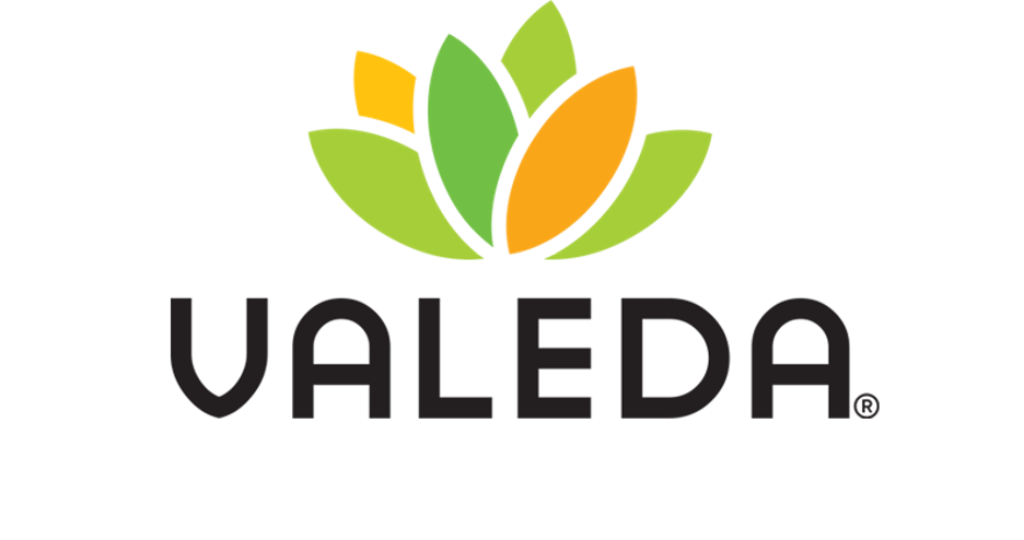 Valeda Logo